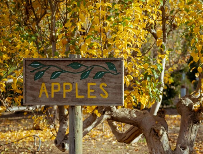 Scenic apple orchard in Mentone, CA with autumn foliage and a wooden apple sign.