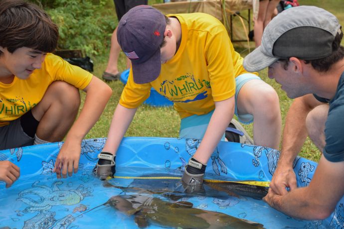Students measure a catfish alongside staff at the thousand Islands Biological Station
