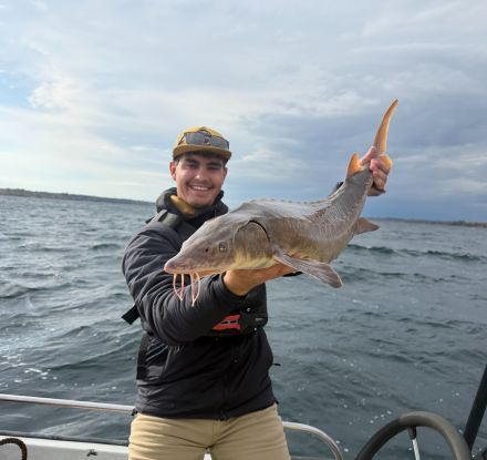Matt Norvilitis holds a lake sturgeon on a boat while conducting research.