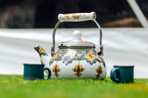 Colorful ornate teapot and cups on grass, perfect for a garden tea setting.