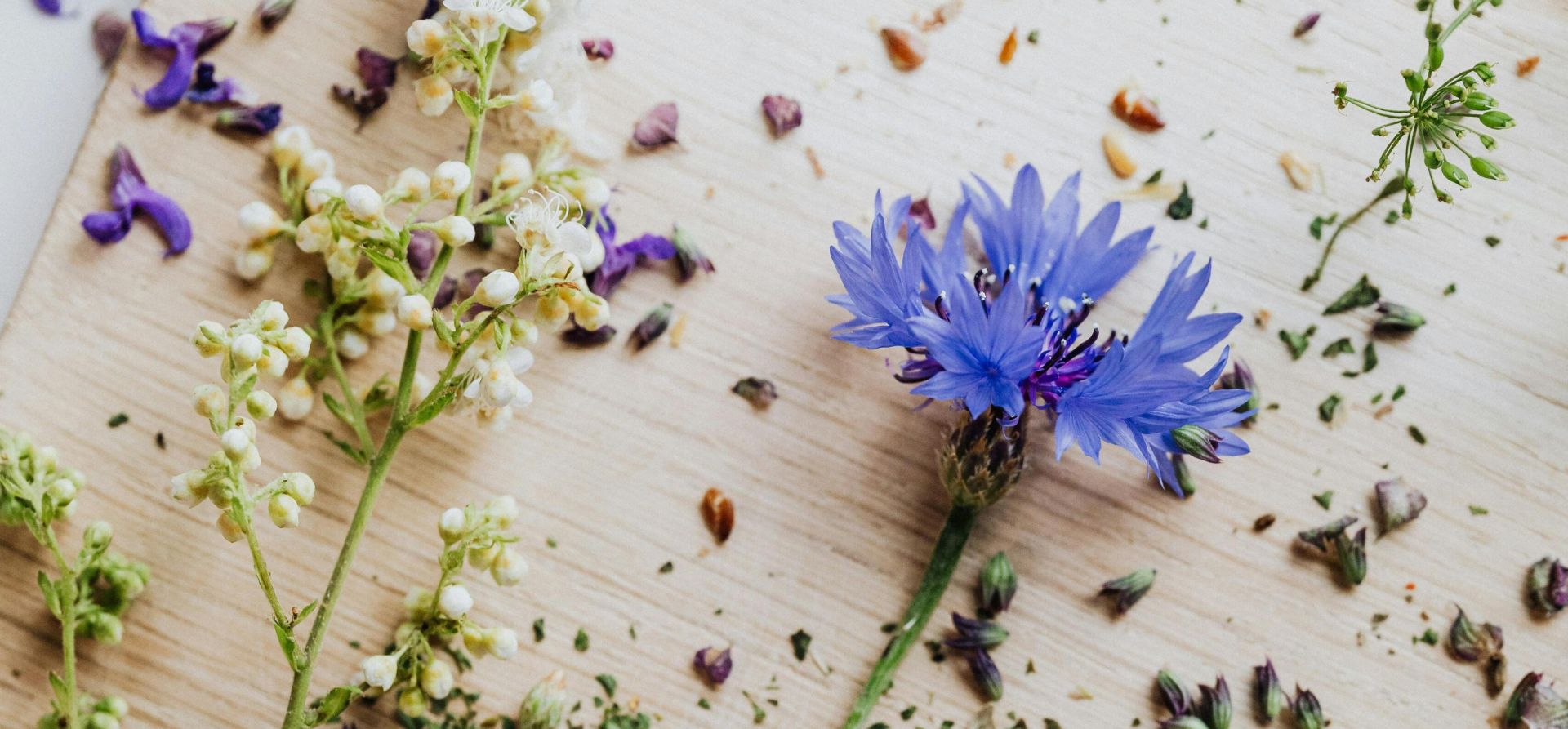 Fresh cornflower and herbs scattered on wooden board with spoon of dried herbs, ideal for organic themes.