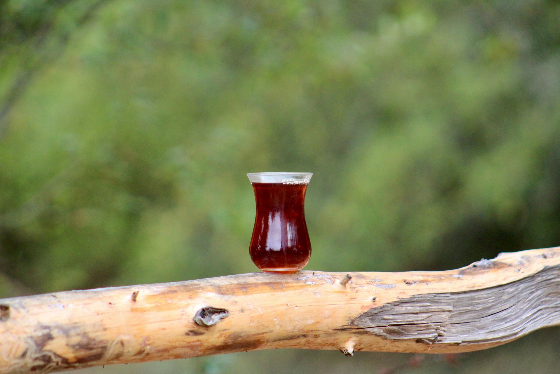 Glass of traditional Turkish tea on a branch outdoors with nature background.